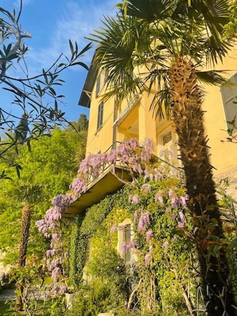 Villa Gina Varenna Exteriér fotografie