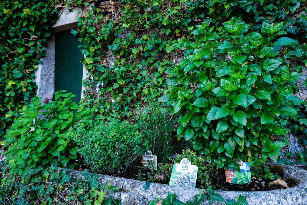 Villa Gina Varenna Exteriér fotografie
