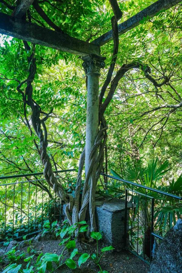 Villa Gina Varenna Exteriér fotografie